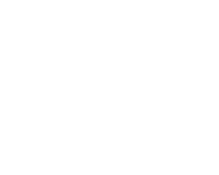 Logo Z-Group Bus