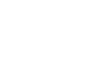 Logo PSOTA