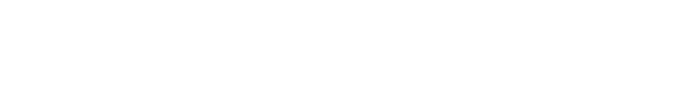 logo light